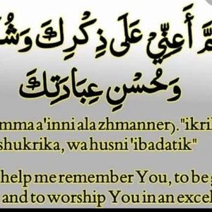 Meet your Posher, Masooda